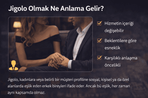 İstanbul Jigolo Şirketi